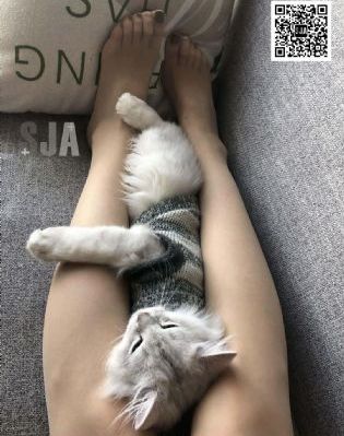 亚洲乱在线_剧情片全集免费观看