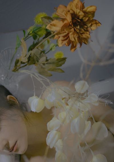 黑帮大佬和我的365天3_全集高清在线观看